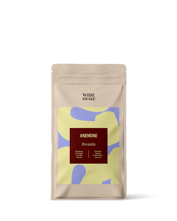 Wide Awake | Anemone | Rwanda