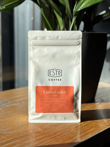 ESTABLISHED | Lalesa Gedeb | Ethiopia